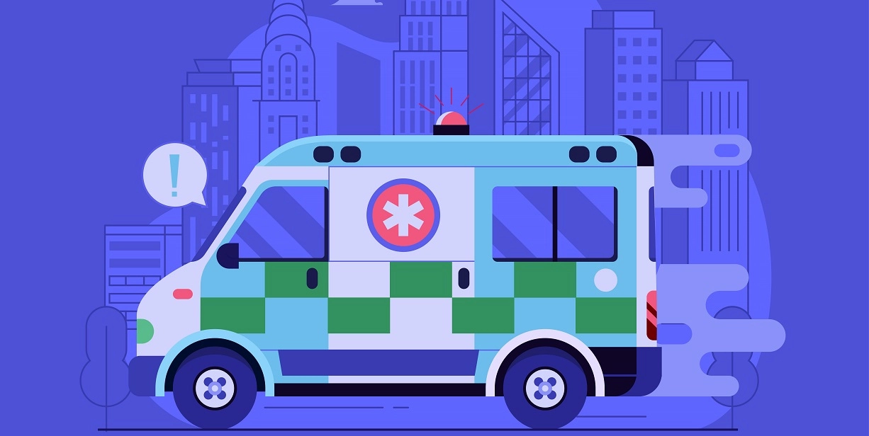 Inter-State Patient Transfers in Malaysia